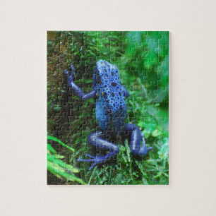 Puzzle Grenouille bleue de flèche de poison