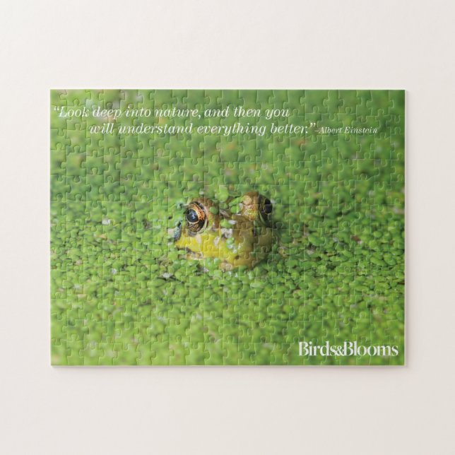 Puzzle Grenouille dans les algues vertes (Horizontal)