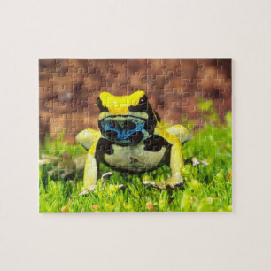 Puzzle Grenouille empoisonnée teinturière, Dendrobates ti