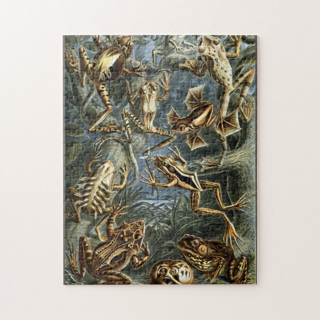 Puzzle Grenouille et crapaud Ernst Haeckel vintage (Vertical)