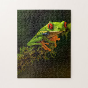 Puzzle Grenouille exotique verte Reptile d'été avec yeux