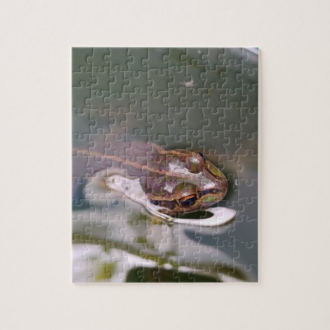 Puzzle Grenouille qui regarde (Vertical)