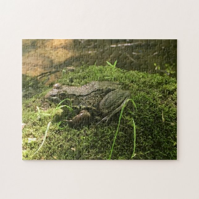 Puzzle Grenouille sur un rocher de Mossy Photo verte et B (Horizontal)