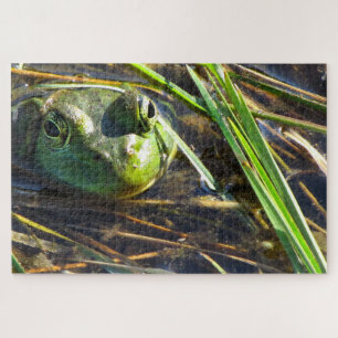 Puzzle Grenouille taureau