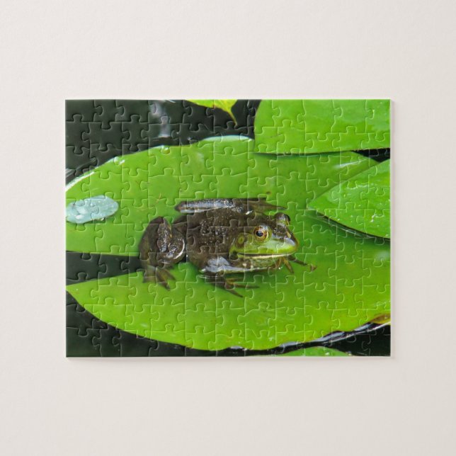 Puzzle Grenouille taureau sur Lilypads (Horizontal)