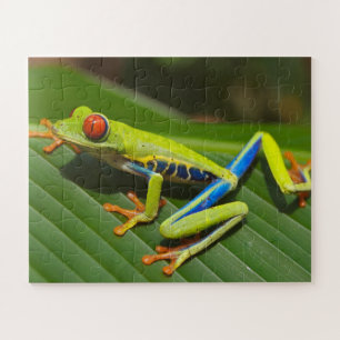 Puzzle Grenouille tropicale