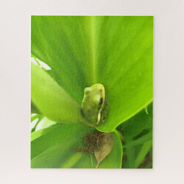Puzzle Grenouille verte (Vertical)