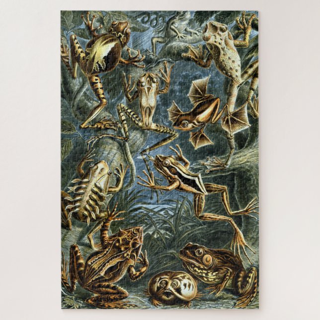 Puzzle Grenouilles vintages par Ernst Haeckel (Vertical)