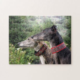 Puzzle Greyhound (Alice et Ombre)