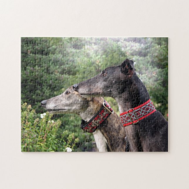 Puzzle Greyhound (Alice et Ombre) (Horizontal)