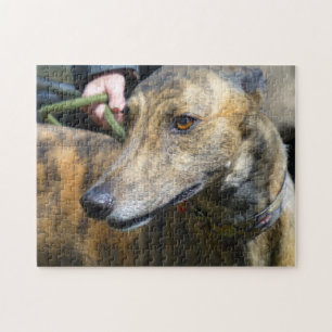 Puzzle Greyhound (p289)