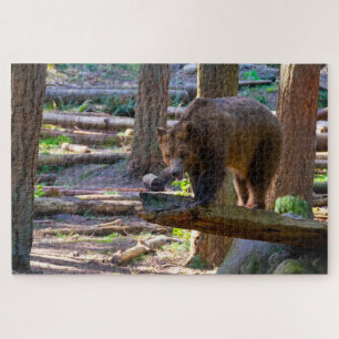 Puzzle Grizzly Bear Challenger Wildlife Loover