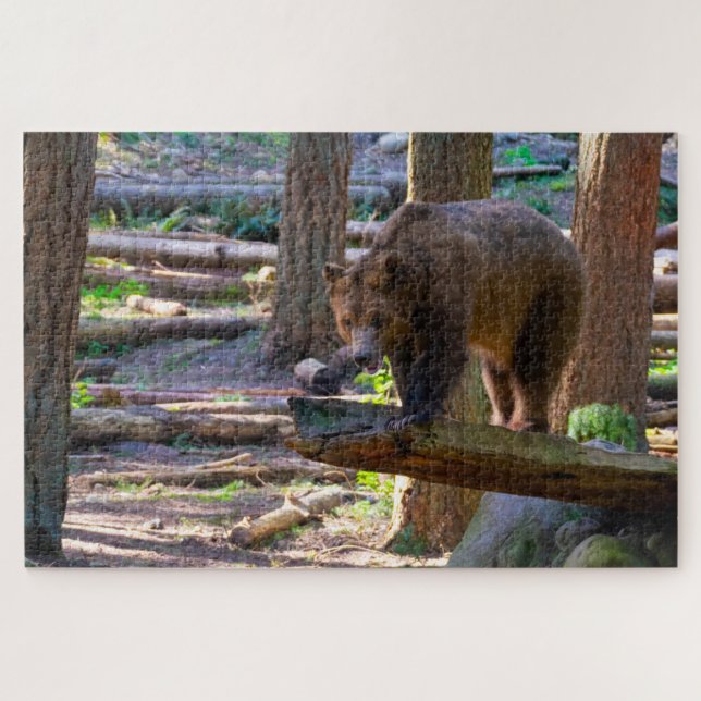 Puzzle Grizzly Bear Challenger Wildlife Loover (Horizontal)