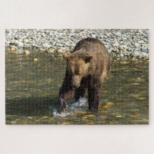Puzzle Grizzly Sauvage Essayant D'Attraper Le Saumon Au T