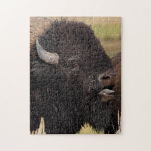 Puzzle grognement de bison de taureau