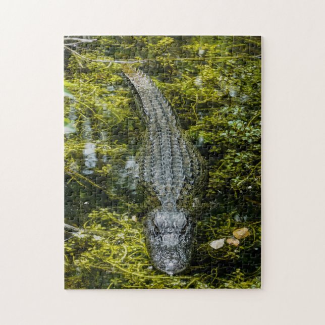 Puzzle Gros Crocodile Nager dans l'eau des marais (Vertical)