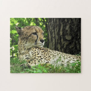 Puzzle Gros plan Cheetah