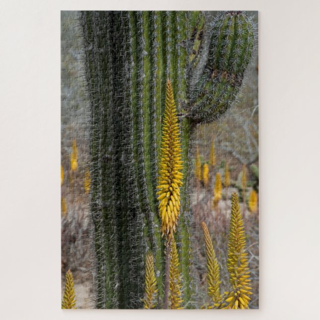 Puzzle Gros plan de cactus et d'agave (Vertical)