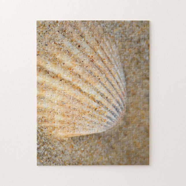 Puzzle Gros plan de Cockle SeaShell dans le sable sur la  (Vertical)