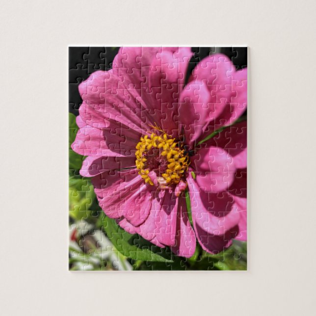 Puzzle Gros plan de la fleur Fuchsia Zinnia (Vertical)