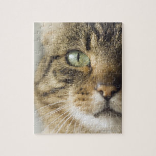 Puzzle Gros plan du chat (attention portée aux yeux)
