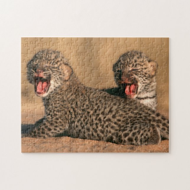 Puzzle Gros plan d'un léopard nouveau-né (Panthera Pardus (Horizontal)