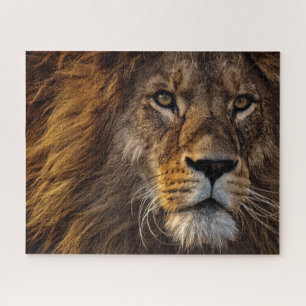 Puzzle Gros Plan Lion, Homme Adulte