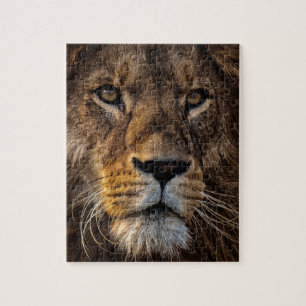 Puzzle Gros Plan Lion, Homme Adulte