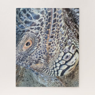 Puzzle Gros plan sur la tête d'un iguane vert. Défiant