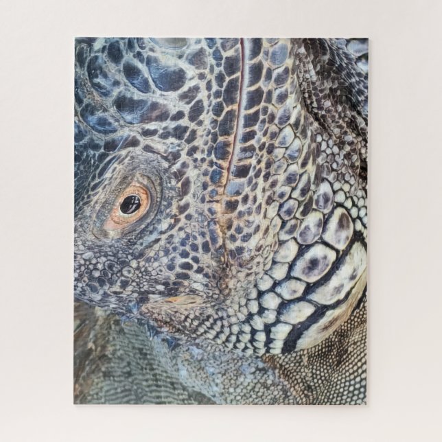 Puzzle Gros plan sur la tête d'un iguane vert. Défiant (Vertical)