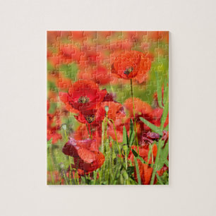 Puzzle Gros plan sur un champ de coquelicots, France