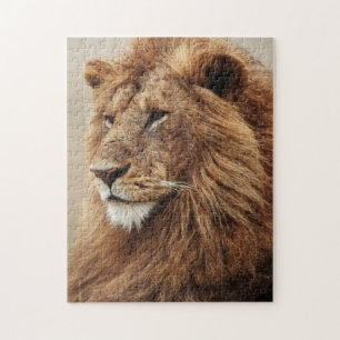Puzzle Gros plan sur un lion mâle
