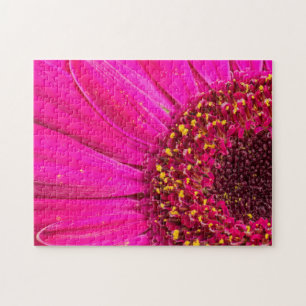 Puzzle  Gros plan sur une marguerite de Gerber