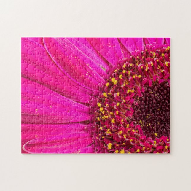 Puzzle  Gros plan sur une marguerite de Gerber (Horizontal)