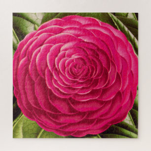 Puzzle Grosse Fleur De Camellia, Rose Fuchsia