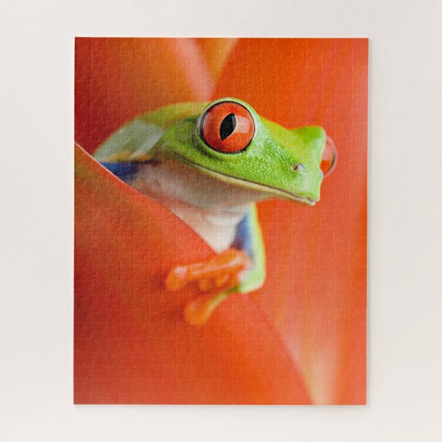 Puzzle Grosse grenouille aux yeux rouges Gros plan, Puzzl (Vertical)