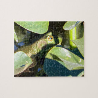 Puzzle Grosse grenouille-taureau