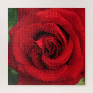 Puzzle Grosse Rose simple presque