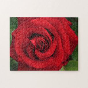 Puzzle Grosse Rose simple presque