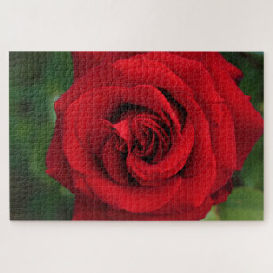 Puzzle Grosse Rose simple presque
