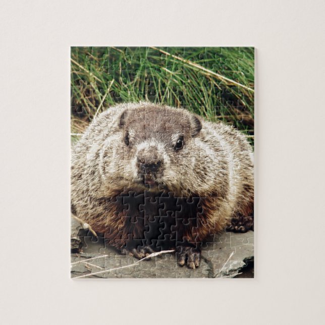 Puzzle Groundhog (Vertical)
