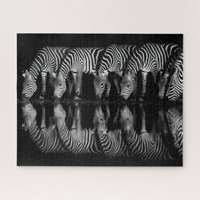 Puzzle Group of Plains Zebra Drink Together at Night (Horizontal)