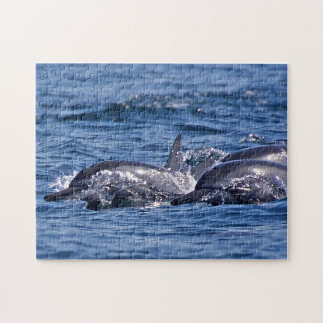 Puzzle Groupe de dauphins de goulot - Oman (Horizontal)