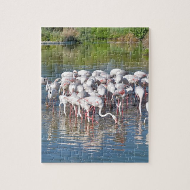 Puzzle Groupe de flamants roses en Camargue (Vertical)