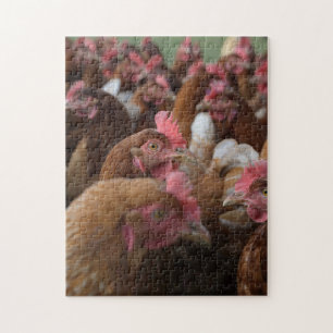 Puzzle Groupe de la famille de poulets Wild Hen Fermez Ch