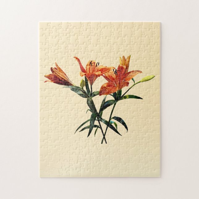 Puzzle Groupe de Lilies orange (Vertical)