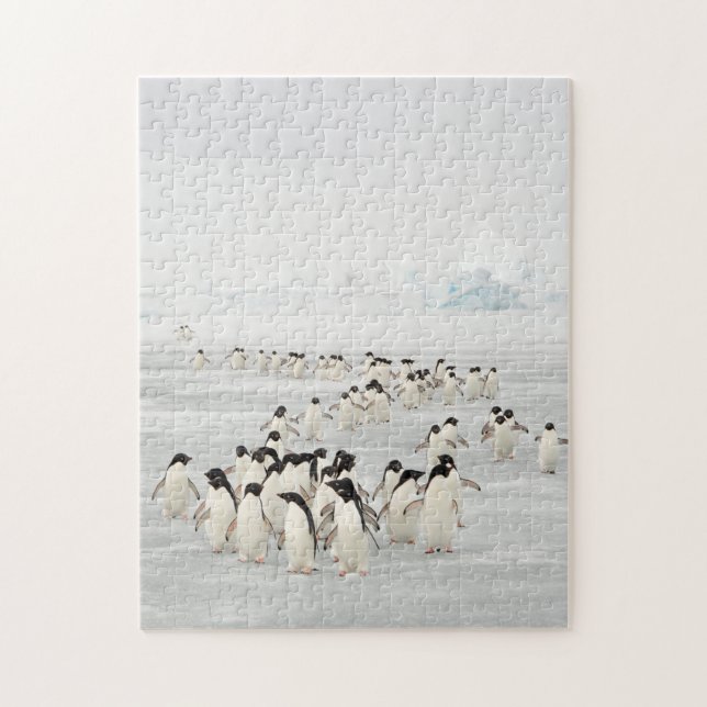 Puzzle Groupe de pingouins (Vertical)