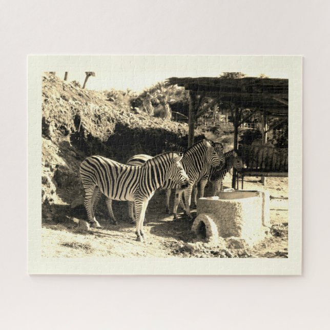 Puzzle Groupe de zèbres (Horizontal)