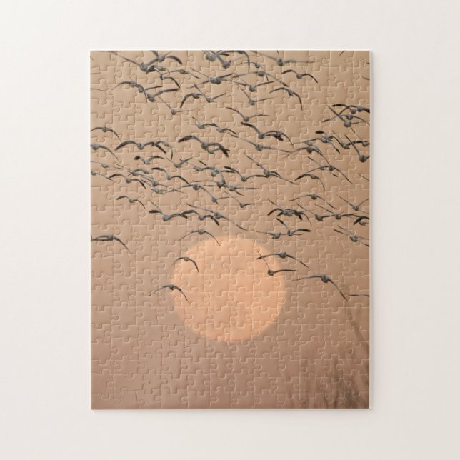 Puzzle Groupe d'oies des neiges migratrices (Vertical)