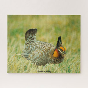 Puzzle Groupement en masquage